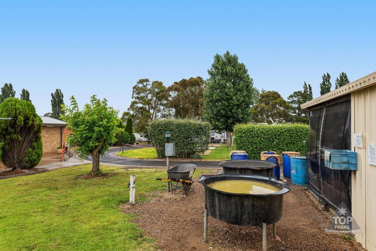 Fossicker Caravan Park Glen Innes Dış mekan fotoğraf